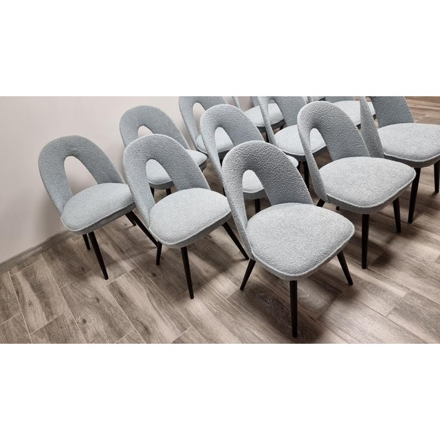 Textile Dining Chairs by Antonin Suman, 1960s, Set of 12 For Sale - Image 7 of 15
