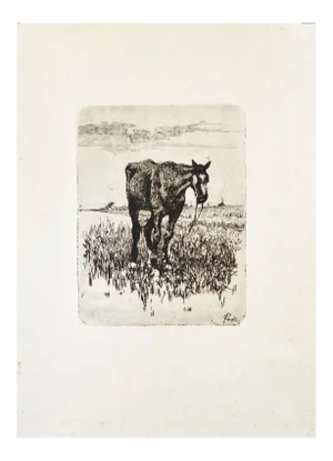 The Old Horse - Original Etching by Giovanni Fattori - 1900-1908 ca. 1900-1908