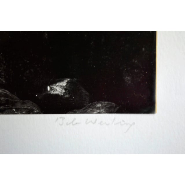 Sierra Mountain Reflections - Black & White Landscape Photograph by Robert Werling For Sale - Image 4 of 4