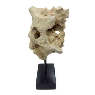 Indonesian Coral Stone On Teak Stand For Sale - Image 4 of 5