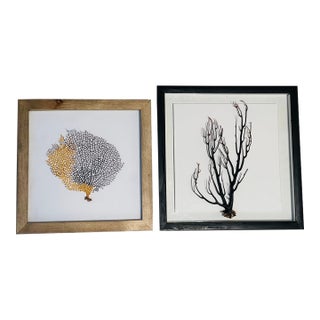 Two Natures Beauty Sez Brunches Framed For Sale