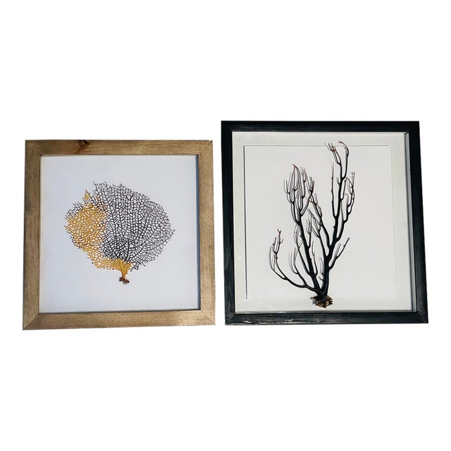 Two Natures Beauty Sez Brunches Framed For Sale
