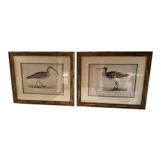 A Pair of Bird Prints, Framed For Sale