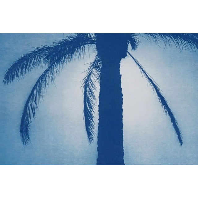 2020s 2020 Cairo Citadel Palm, Hand-Painted Cyanotype Print on Watercolor Paper For Sale - Image 5 of 12