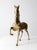 Mid Century Brass Horse Figure For Sale - Image 6 of 12