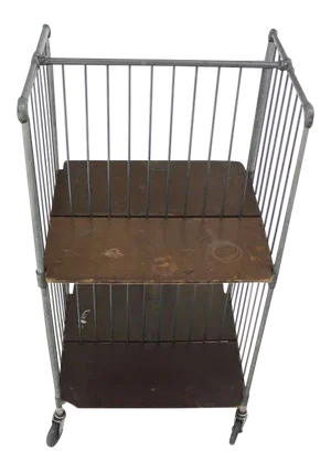 Mid-Century Modern Cart Rack With Storage Shelves