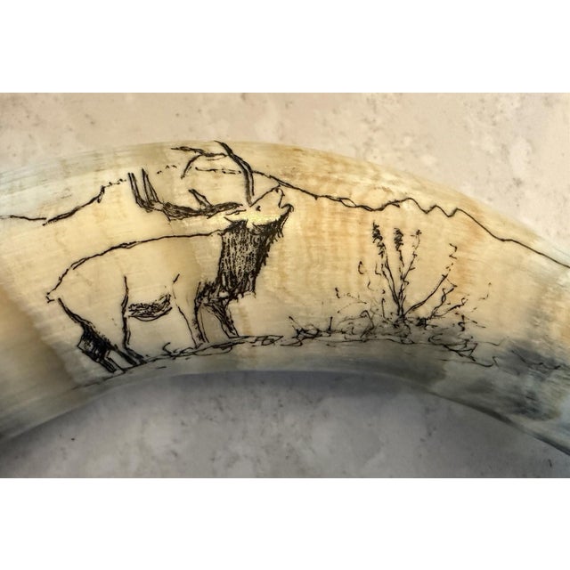1970s 1970s Handmade Powder Horn w/ Scrimshaw Elk Scene Strap Western Decor/Reenactment. For Sale - Image 5 of 8
