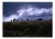 Paul Cooklin, Treeline, Exmoor, 2011, Edition of 50 For Sale