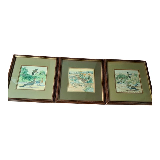 Mid 20th Century Louis A. Fuertes (School Of) - 3 Watercolor Paintings For Sale