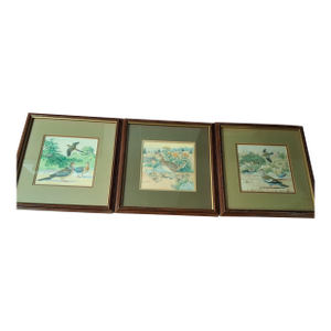 Mid 20th Century Louis A. Fuertes (School Of) - 3 Watercolor Paintings