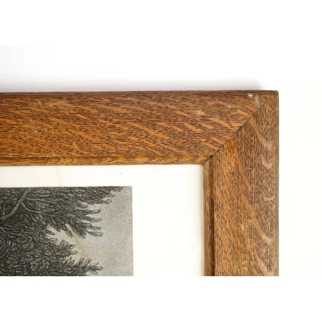 Oak framed and matted drawing of Shakespeare's third part of King Henry the Sixth. Engraved by I.B Micbel & Wm. Leney. The...