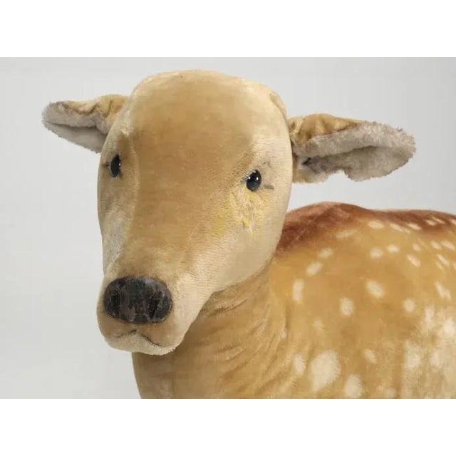 1963 Steiff Mohair Fallow Deer "Studio Animal" For Sale In Chicago - Image 6 of 13