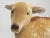 1963 Steiff Mohair Fallow Deer "Studio Animal" For Sale In Chicago - Image 6 of 13