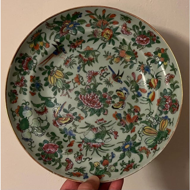 Antique 19th Century Chinese Export Porcelain Famille Rose Plate With Birds and Butterflies on a Celadon Ground For Sale - Image 4 of 9