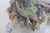 Porcelain English Derby Style Cherub With Grapes Figurine 9777 Signed Rp 4963b For Sale - Image 18 of 18