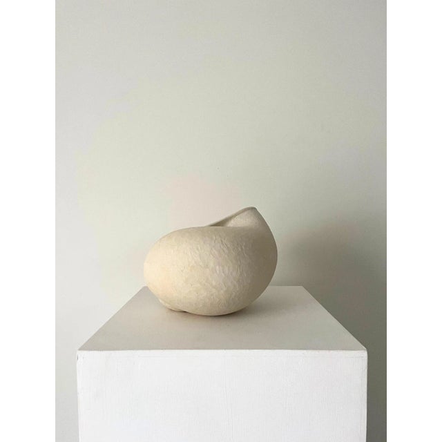 Roger Denton, Large Hand Carved Shell Sculpture, 2000s, Limestone For Sale - Image 4 of 9