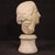 Italian Artist, Marble Head, 1660, Marble For Sale - Image 4 of 13