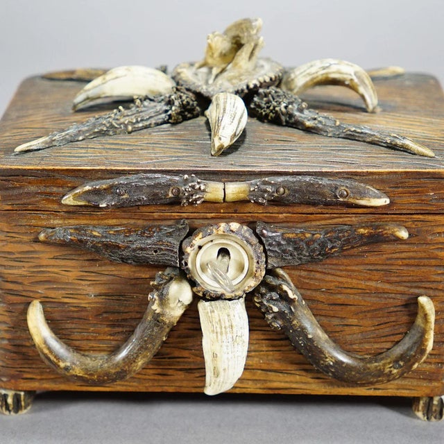 Rustic European Wooden Black Forest Casket With Antlers Decoration Circa 1900s For Sale - Image 3 of 8