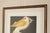 John James Audubon Ornithological, 'American White Pelican' For Sale - Image 12 of 12