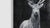 2020s Deer II Collective Bap Vietnam Art Large-Scale Black White Wildlife Portrait For Sale - Image 5 of 11