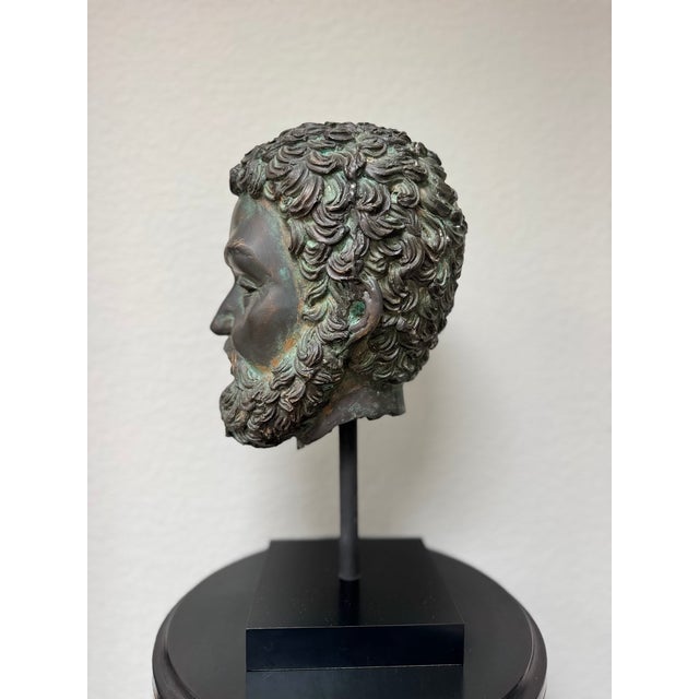 Grand Tour Grand Tour Style Verdigris Patinated Head of Zeus For Sale - Image 3 of 5