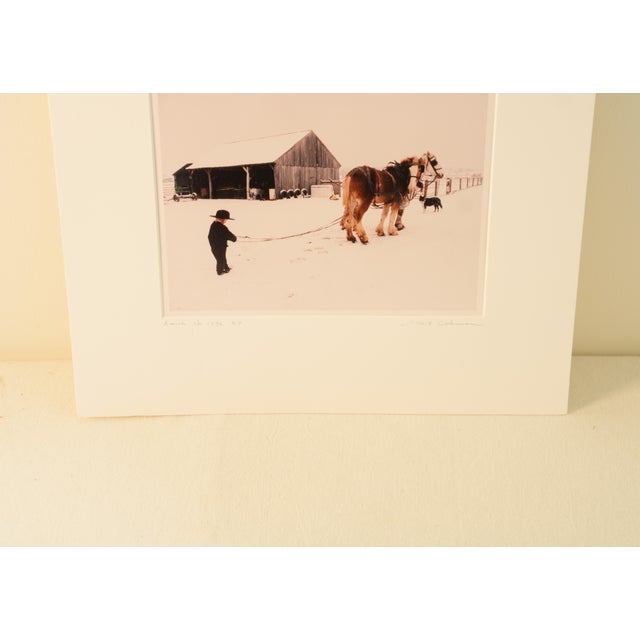 "Amish No 1392" is a beautiful, serene winter landscape photograph by acclaimed American photographer Bill Coleman...