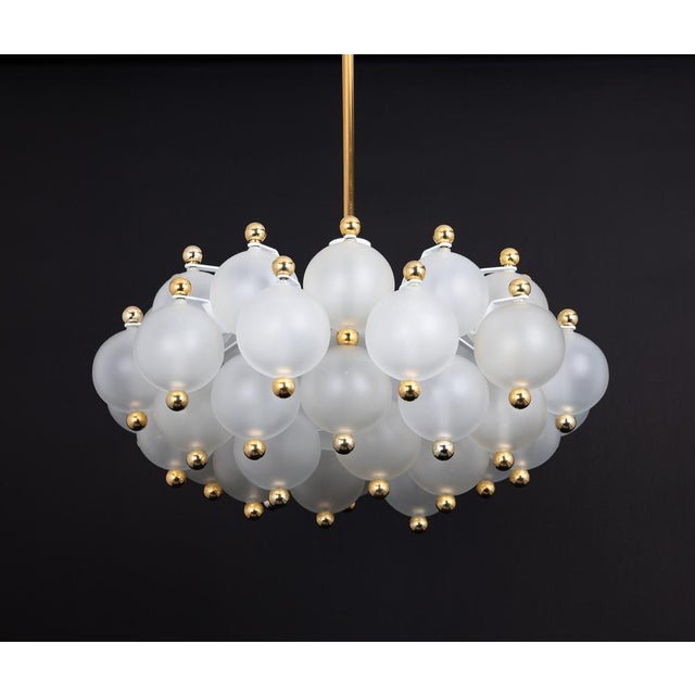 Large Frosted Glass and Brass Chandelier from Kinkeldey, Germany, 1970s For Sale - Image 16 of 18