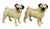 Ceramic Collection of Forty Two-Pottery and Porcelain Pug Dogs For Sale - Image 7 of 13