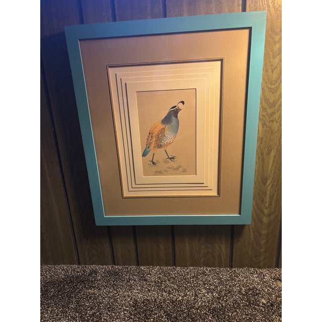 Original Vintage California Field Quail … 5 Mat Framed Drawing Under Glass For Sale - Image 11 of 12