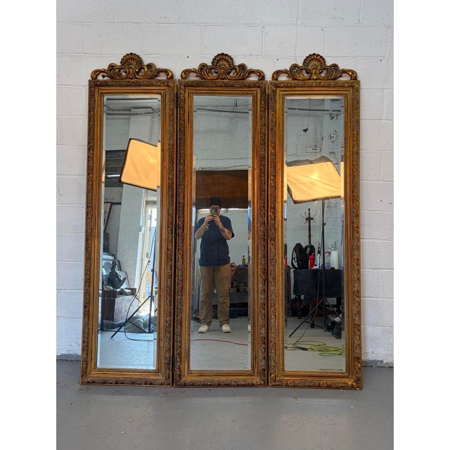 Add elegance and old-world charm to your space with this French-style mirrored three-panel folding screen. Inspired by...