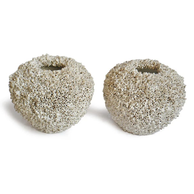 Coastal Vintage White Barnacle Shell Pot For Sale - Image 3 of 9