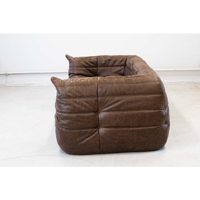 Animal Skin Vintage Two-Seater Togo Sofa with Arms in Brown Leather by Michel Ducaroy for Ligne Roset, 1970s For Sale - Image 7 of 18