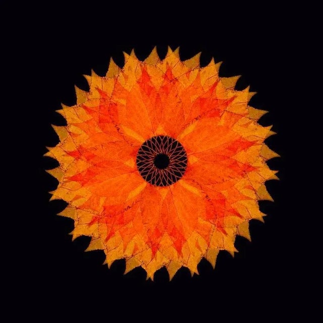 Edition of 10. All items are shipped as a print only and come unframed. Judith lyons is a photographic artist living and...