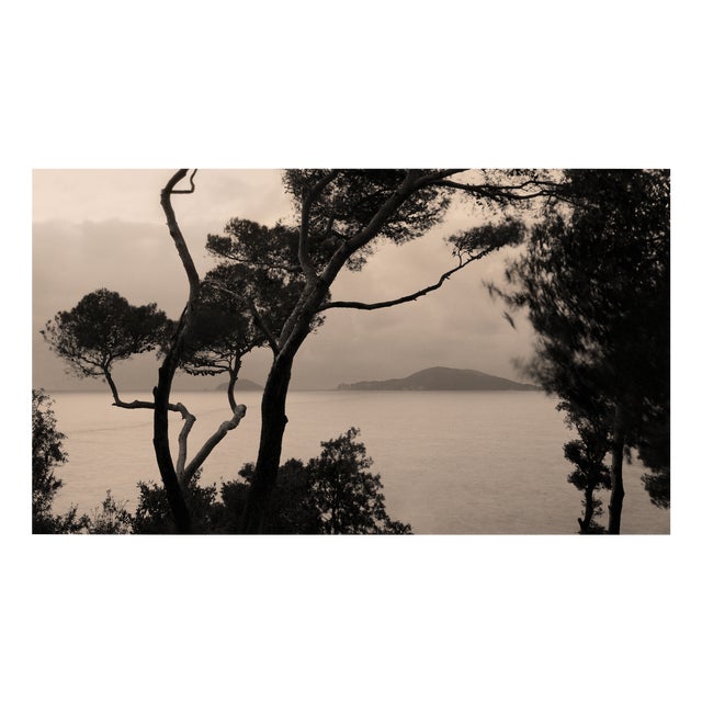 Ugne Pouwell, Currents, 2022, Photography For Sale