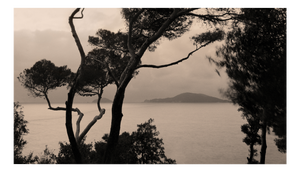 Ugne Pouwell, Currents, 2022, Photography