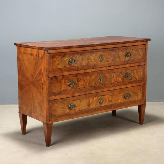 Neo-Classical Walnut and Burlwood Chest of Drawers For Sale - Image 12 of 12