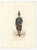 : Antique costume print titled 'Sergent Suisse de la Garde du Pape'. Old print depicting a Swiss sergeant of the Pope's...