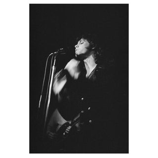 'The Doors' Unframed Archival Pigment Print For Sale