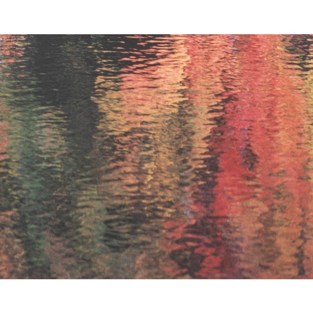Sonja Bullaty Autumn River Chromogenic Print For Sale In New York - Image 6 of 9