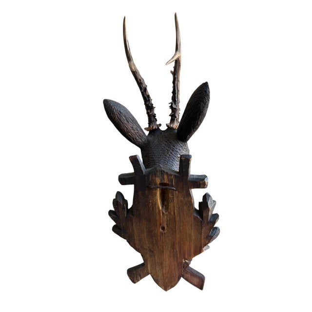1900 - 1909 Black Forest Deer Head For Sale - Image 5 of 6