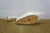Vintage Wooden Wildlife Kennebunk Maine Hand Carved Solid Pine Swan Decoy 24" For Sale - Image 15 of 15