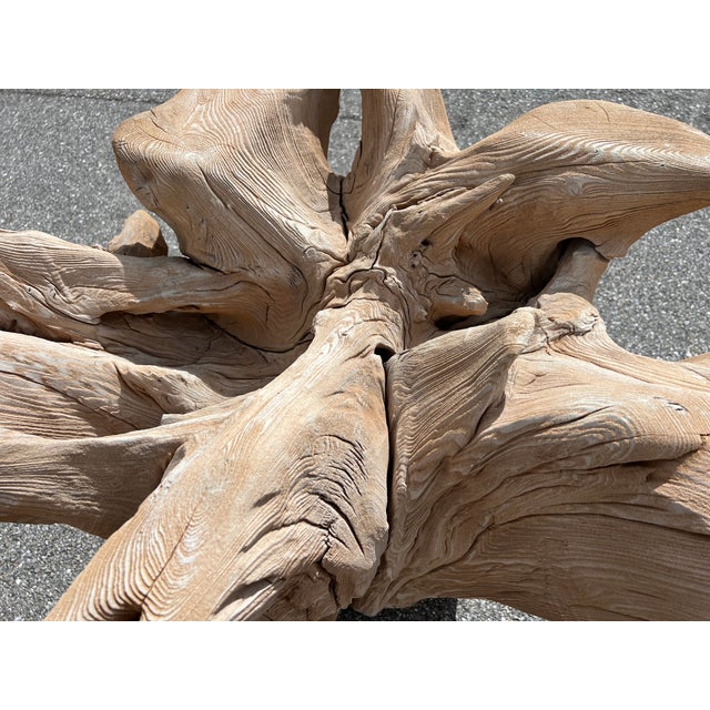 Large-Scale Tree Stump Dining Table For Sale - Image 10 of 10