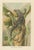 P. J. Smit, The Black Iguana on Banana Tree, 1895, Color Lithograph For Sale - Image 9 of 9