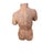Art Deco 1970s Terra Cotta Female Torso Sculpture For Sale - Image 3 of 5