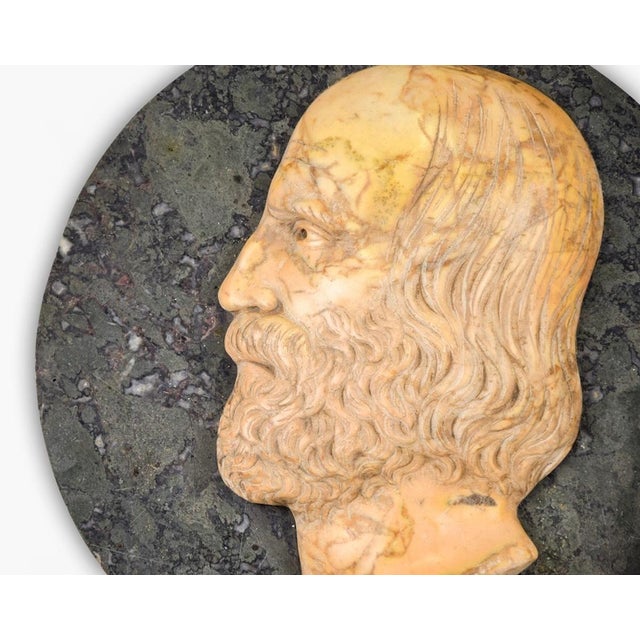 Ancient Marble Bas-Relief with Portrait of Giuseppe Garibaldi, Late 19th Century For Sale - Image 4 of 5