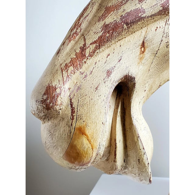 Early 20th Century Early 20th Century Hand Carved Wood Camel Head Sculpture For Sale - Image 5 of 13