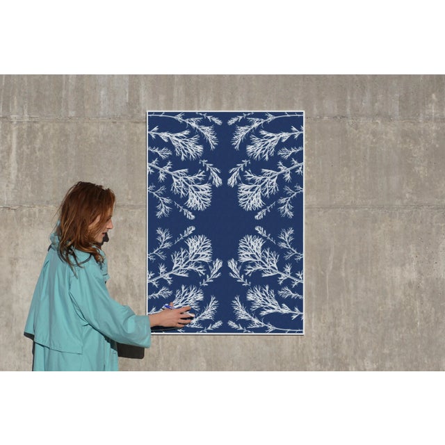 Art Deco "Vintage Botanical Pressed Flowers Nº3", Botanical Cyanotype, Limited Edition 2020 For Sale - Image 3 of 11