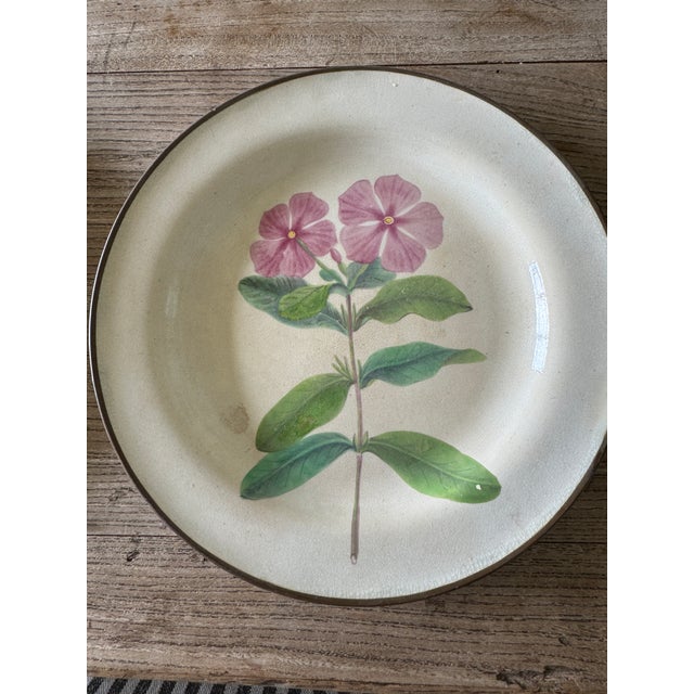 This rare, gorgeous 8n inch botanical, pearlware plate comes from the Creil et Montereau factory, a renowned French...
