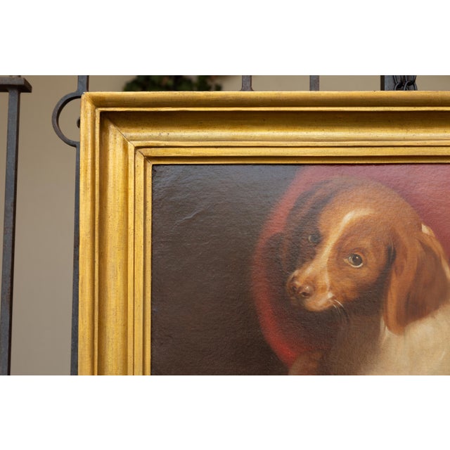 American 1890s Framed Oil on Board Painting Depicting a Dog Lying on a Red Drape For Sale - Image 9 of 12