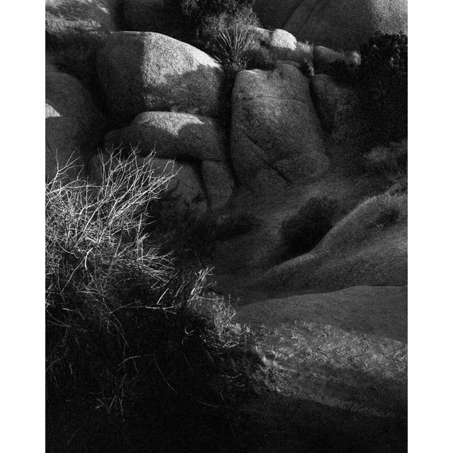 Jumbo Rocks California #2 - Analogue Black and White Desert Rocks 2023 For Sale - Image 3 of 4